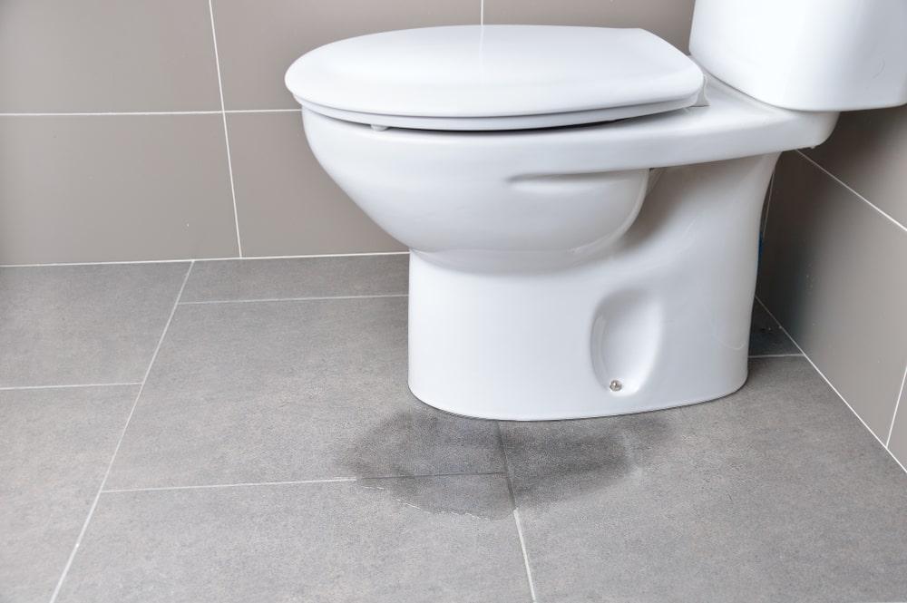 <span class="title">トイレの種類別に見る、つまり・水漏れの原因と対処法とは？</span>